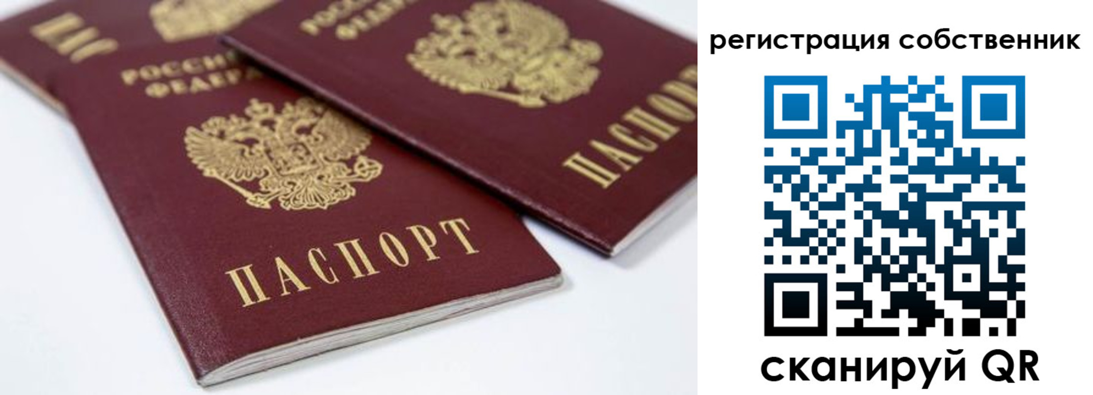 прописка для школы в Менделеевске